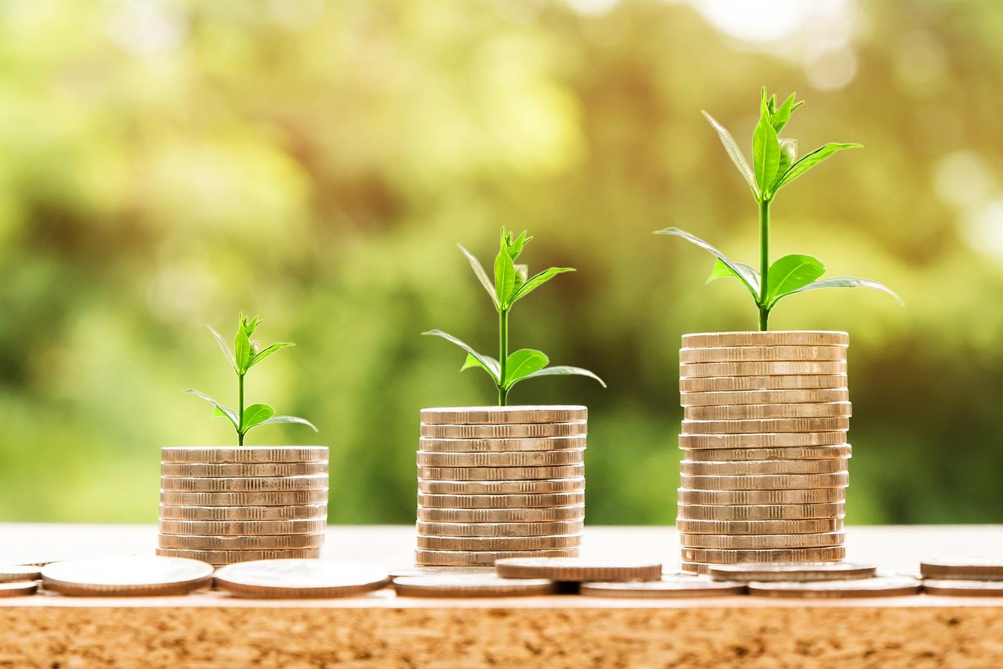 Online Info-Session "Financing Your Studies: Working as an International Student and Scholarship Opportunities"