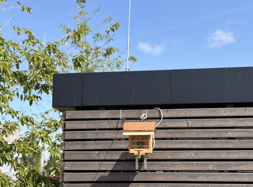 Wie divers ist mein Garten? DIY-Workshop für dein smartes Vogelhaus
