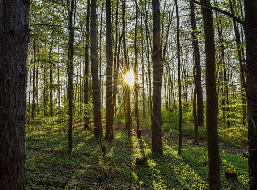 Trauerwanderung