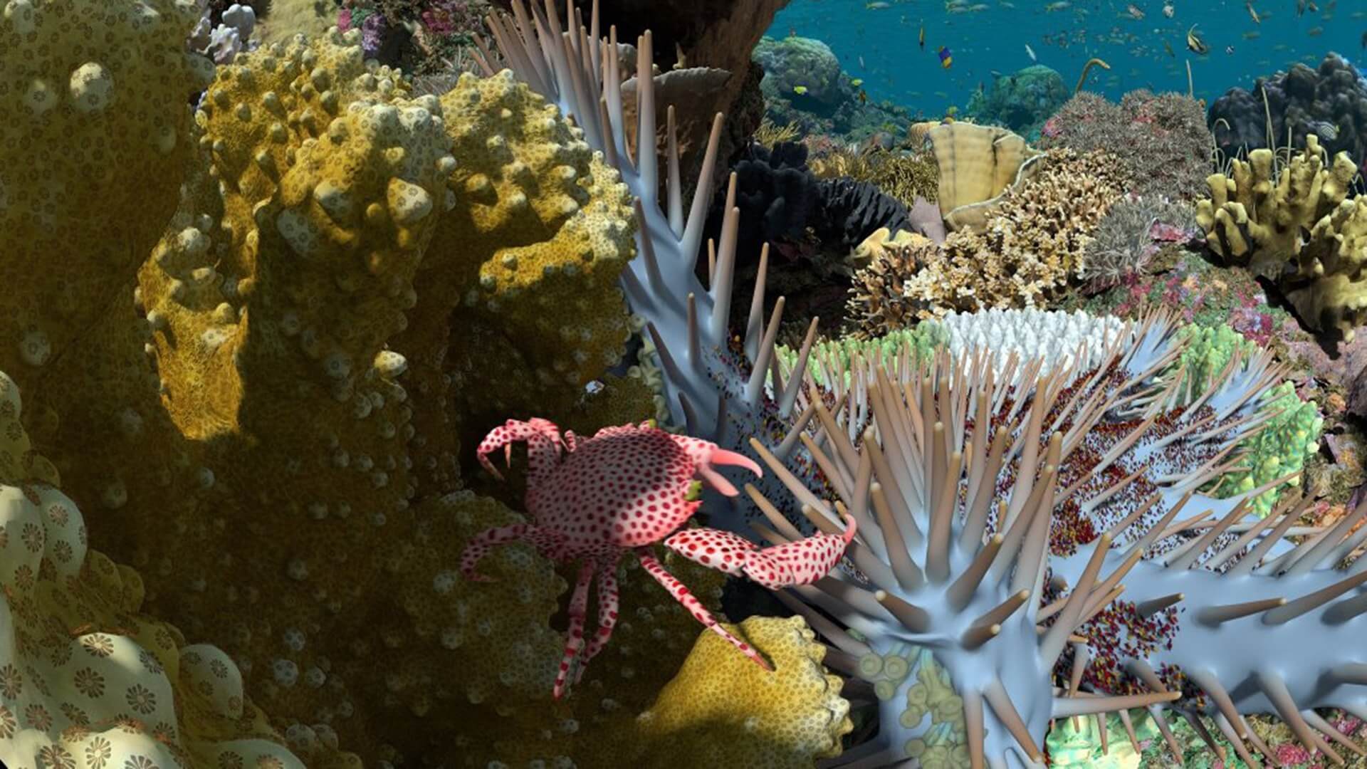 Expedition Reef