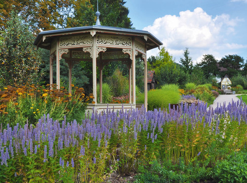 Führung durch den Botanischen Obstgarten