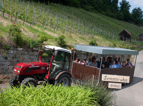Traktorsafari durch die Weinberge