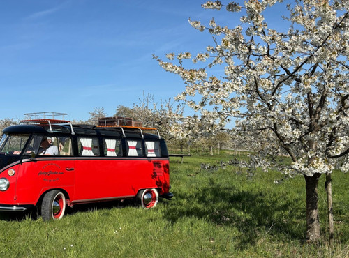 Weingut Hopping