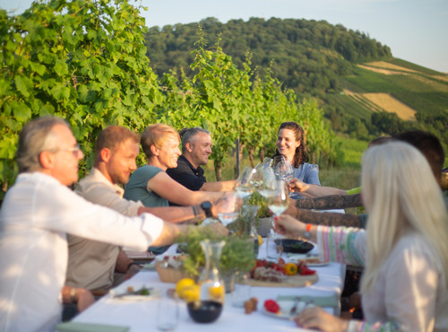 Genussabend im Weinberg