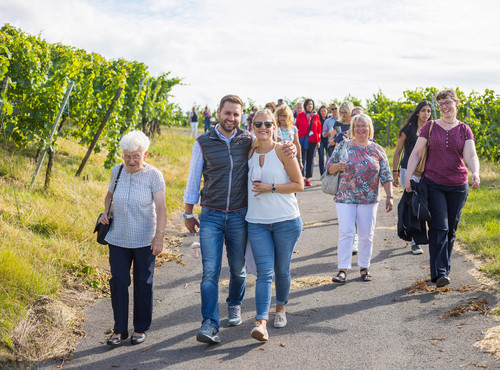Weinwanderung zur Weinlesezeit
