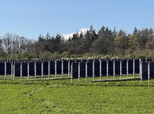 Die Agri-PV-Anlage bei Fürfeld öffnet ihre Tore
