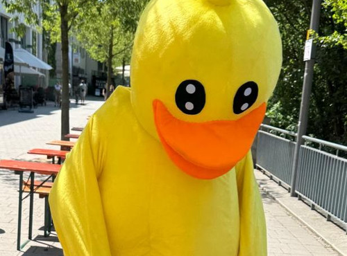 Heilbronner Entenrennen