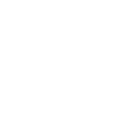 Dieter Schwarz Stiftung
